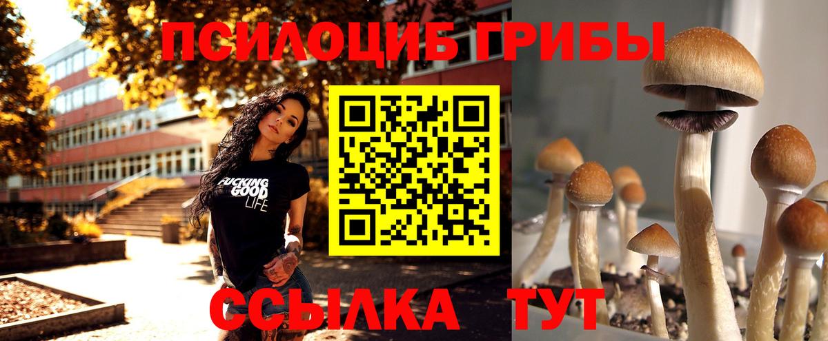 Галлюциногенные грибы MAGIC MUSHROOMS Чебоксары