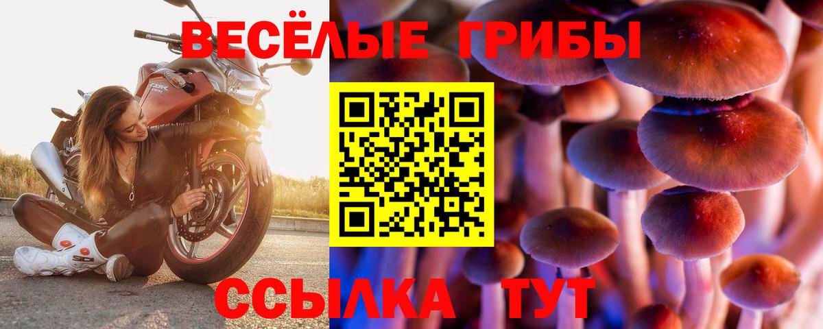 Псилоцибиновые грибы Cubensis  Галлюциногенные грибы ЛСД  Вход с VPN  Чебоксары 